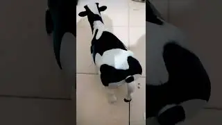 battery operated cow toy 🧸🧸 #cow #toys