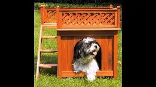 Merry Products Wood Pet Home Review - Perfect Dog House For Small Dogs