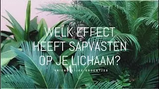 WELK EFFECT HEEFT SAPVASTEN OP JE LICHAAM?! | Vriendelijke groentjes #1