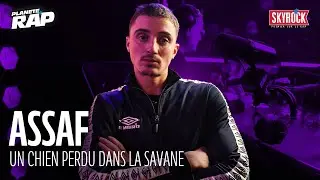 [EXCLU] ASSAF - Un chien perdu dans la savane #Plan&egrave;teRap