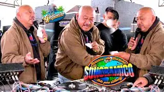 ¡UN CONCIERTO DE MUSICA AL MAS PURO ESTILO DE LA MUSICA DE BARRIOS! SONIDO SONORAMICO | ORG CALLEJON