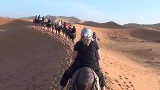 PSVR 3D MOROCCO Sahara Desert Camel Trek