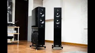 全面、活生的動態與頻寬: AVID HIFI EVO TWO落地喇叭