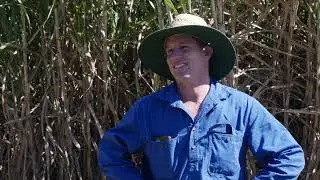 Mackay Whitsunday Water Quality Program - 2024, P2