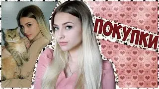 HAUL &hearts; Мой магазин! Romwe, dresslink, rosegal