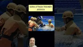 Dolphin attacks #dolphin #facts #funny #shortvideo #shortsfeed