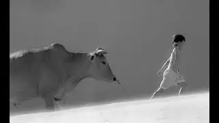 Emotions: Sand Dunes & Waterfall Photos Through My Lens | Thang Duc Nguyen Black & White | TDN BW