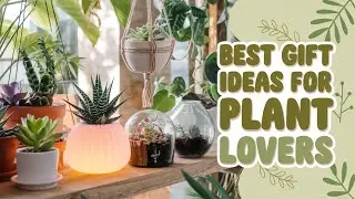 10  Best Gift Ideas for Plant Lovers: Unique Picks for Every Green Thumb!