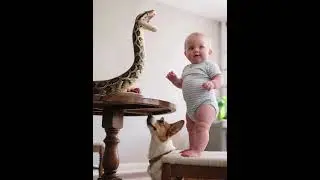 Shocking ！How Brave When a Baby Meets a Snake? #shorts #cute #baby #snake