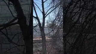 NS 1800 SD70ACC &ldquo;Yellow Bonnet&rdquo; as DPU on 18N through Middlesex,NJ #trains  #shorts