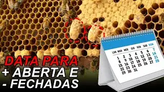 ESCOLHA AS REALEIRAS CERTAS PARA N&Atilde;O PERDER A DIVIS&Atilde;O
