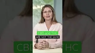 The Hemp Plant vs The Marijuana Plant