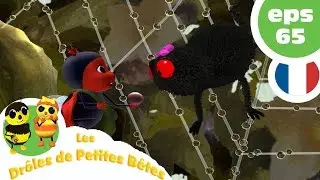 DRÔLES DE PETITES BÊTES - EP65 - Le pou ventriloque