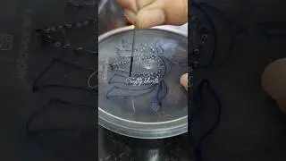 DIY Rangoli Stencil From Waste Box @youtube #shorts