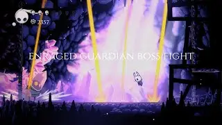 I got way too lucky (Hollow Knight/Enraged Guardian Boss Fight)