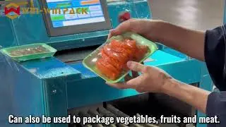 WIN WIN PACK Compact Table-Top Food Wrapping Machine for Seafood, Meat, Fruits & Vegetables