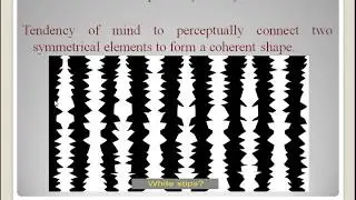 Perceptual processes 3, Principles of Perception- Form perception and perceptual constancy