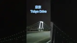 Tokyo Night Drive ,City Lights in 20 Seconds