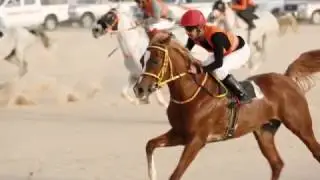 سباق قبيلة العوازم الاول للخيول العربية