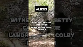 Cash-Landrum Incident #aliens #facts #shorts
