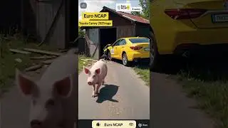 Польский тест Euro NCAP #funny #приколы #automobile