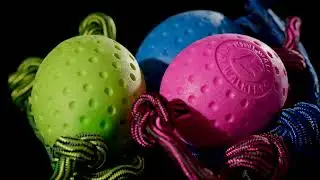 KIWI WALKER TPR TOYS