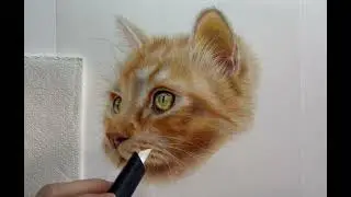 Creating realistic cat whiskers on film