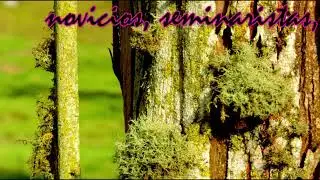 Canci&oacute;n Claretiana - CLARETIANOS EN SALIDA.