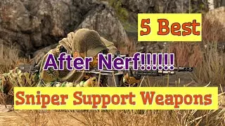 Top 5 Sniper Support Weapons After The Nerf