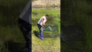 Fish Catching New idea #fishing #ytshorts