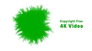 Ink Splash Green Screen Overlay | 4k | no copyright