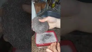روتين تشجيعي في المطبخ كل غسيل وترويق بالميه والكلور هنعمل احلي تنظيفات 