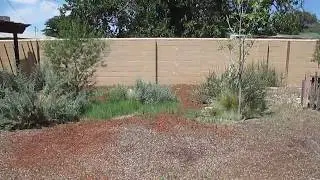 2717 Solano - Gardener's Dream, Quaint, Cozy Retro 3 Bedroom Albuquerque, NM
