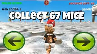 The 67 Mice Christmas Cat Challenge