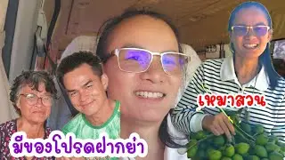 ย่าพาต้องตะลึง!!...เหมาทั้งร้านเพื่อย่า...เอาไปแจกคนอื่น😅#ป้าแต๋นชาแนล