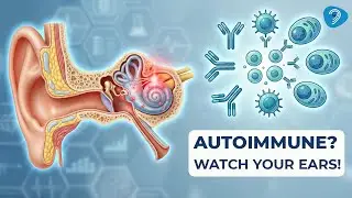 Auto immune and hearing   Do they have any connection
