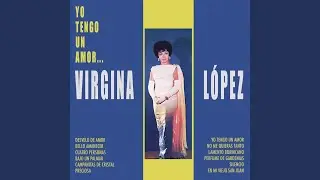 Desvelo de Amor