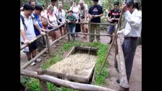 Vietnamese Booby Trap at Cu Chi Tunnels