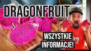 Dragonfruit - Pitaja - Wszystko co musisz wiedzieć o tym owocu!