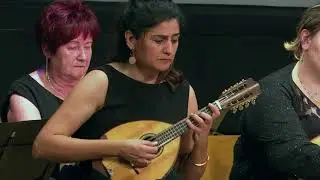 De part et d'autre du Rhin... - Emilio Padr&oacute;n Visual