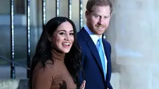 Here's a breakdown of Prince Harry and Meghan Markle's current income