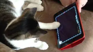 Pele and His iPad