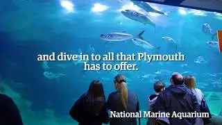 A Rainy Day in Plymouth Itinerary