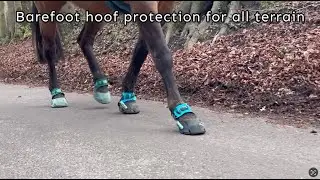 Effective hoof protection for barefoot horses in all terrain