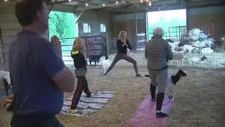 Goat farm hosting yoga classes