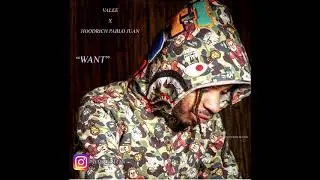 Valee x Hoodrich Pablo Juan Type Beat 