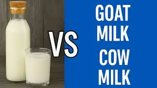 Goat Milk vs Cow Milk: Nutrition Facts & Rising Demand