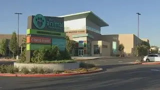 Las Vegas shelter hosting fee-waived adoption event &lsquo;Wanted: Forever Homes&rsquo;