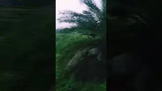 Amazing view Chhindwara - Amla route  @Gkv2_vlogs    @Madhya Pradesh Tourism  Indian railways