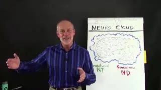 Learning Nugget Understanding ASD Traits And The High Functioning